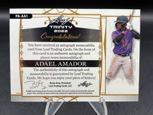 Load image into Gallery viewer, 2022 Leaf Trinity #PA-AA1 Adael Amador Patch Autographs Foil Silver #/99
