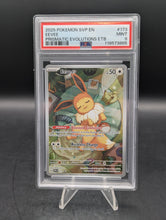Load image into Gallery viewer, Eevee Pokemon SVP 173 Promo PRE ETB PSA 9

